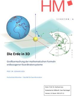 Die Erde in 3D Greifbarmachung der mathematischen Formeln erdbezogener Koordinatensysteme