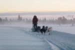 Winter in Finnisch Lappland - Aktive Tage südlich des Polarkreises 13 - 18. Februar 2021 - Reisekreativ
