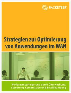 Strategien zur Optimierung von Anwendungen im WAN - Performancesteigerung durch Überwachung, Steuerung, Kompression und Beschleunigung
