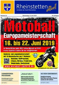 SOMMERFERIEN-PROGRAMM: Stadt Rheinstetten