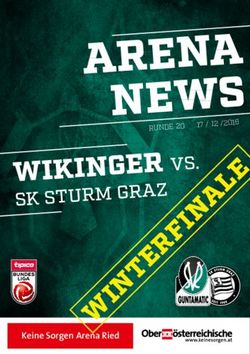 ARENA NEWS WIKINGER VS - SK STURM GRAZ - SV Ried