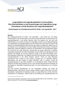 Jugendarbeit und Jugendsozialarbeit in Corona-Zeiten: Eine Zwischenbilanz zu den Auswirkungen auf Jugendliche, junge Erwachsene und die ...