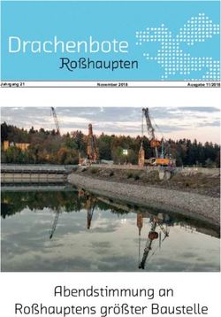 Abendstimmung an Ro&szlig;hauptens gr&ouml;&szlig;ter Baustelle - Jahrgang 21 - Ro&szlig;haupten