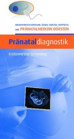Pränataldiagnostik UND PRÄNATALMEDIZIN DORSTEN - Ersttrimester-Screening - Pränatalmedizin Dorsten