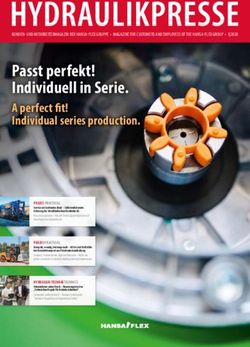 Passt perfekt! Individuell in Serie - A perfect fi t! Individual series production - Hansa Flex