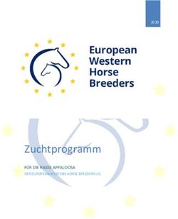 Zuchtprogramm F&Uuml;R DIE RASSE APPALOOSA - European Westernhorse Breeders