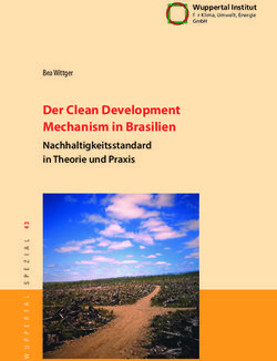 Der Clean Development Mechanism in Brasilien - Nachhaltigkeitsstandard in Theorie und Praxis