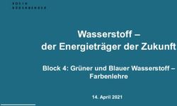Wasserstoff - der Energietr&auml;ger der Zukunft - Block 4: Gr&uuml;ner und Blauer Wasserstoff - Farbenlehre - Rosin ...
