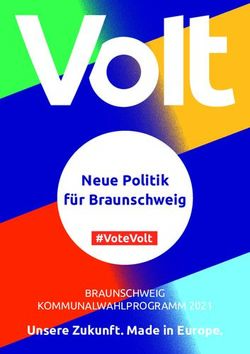 Neue Politik für Braunschweig - Unsere Zukunft. Made in Europe. #VoteVolt - Volt Europa