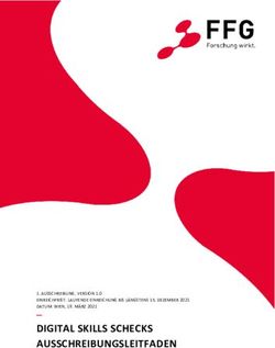 DIGITAL SKILLS SCHECKS AUSSCHREIBUNGSLEITFADEN - FFG