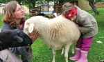 Bauernhoftiere bewegen Menschen e.V.