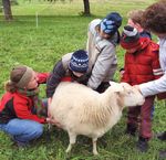 Bauernhoftiere bewegen Menschen e.V.