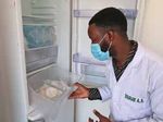 In die Pilze! Ein deutsch-beninisches Team untersucht die Pilzwelt Westafrikas - Forschung Frankfurt