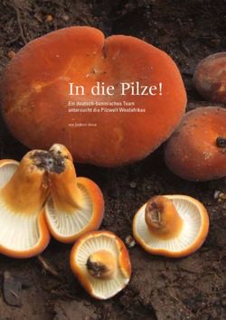 In die Pilze! Ein deutsch-beninisches Team untersucht die Pilzwelt Westafrikas - Forschung Frankfurt