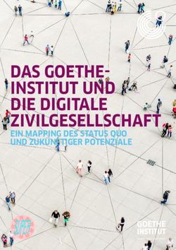 DAS GOETHE-INSTITUT UND DIE DIGITALE ZIVILGESELLSCHAFT - EIN MAPPING DES STATUS QUO UND ZUKÜNFTIGER POTENZIALE