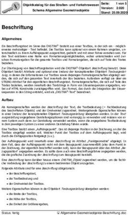 Beschriftung Allgemeines - okstra