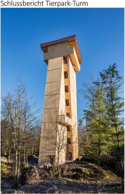 Schlussbericht Tierpark-Turm