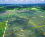 ERNEUERBARE ENERGIEN HEUTE & MORGEN - DURCH INNOVATIVE WETTERLÖSUNGEN - Ubimet