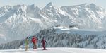 ANKOMMEN - wohlfühlen - SONNLEITEN - AlpenParks