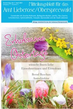 Amt Lieberose/Oberspreewald - Mitteilungsblatt für das