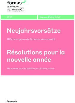 Neujahrsvors&auml;tze R&eacute;solutions pour la nouvelle ann&eacute;e - 2020 foraus-Policy Brief