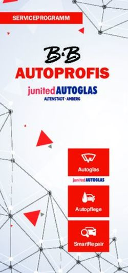 SERVICEPROGRAMM - Autoglas Autopfl ege SmartRepair - B&B Autoprofis