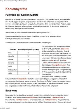 Kohlenhydrate Funktion der Kohlenhydrate