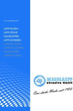Eine starke Marke seit 1950 - LÄPP-PASTEN LÄPP-STEINE HANDLÄPPER LÄPP-SCHEIBEN LAPPING PASTE LAPPING STONES HANDLAPPER LAPPING DISCS