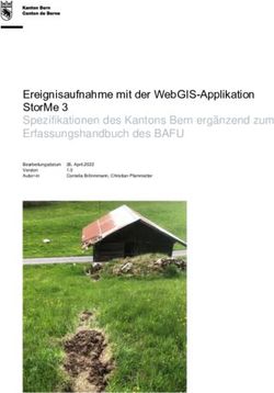 EREIGNISAUFNAHME MIT DER WEBGIS-APPLIKATION STORME 3 SPEZIFIKATIONEN DES KANTONS BERN ERG&Auml;NZEND ZUM ERFASSUNGSHANDBUCH DES BAFU