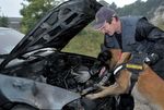 Spezialisten auf vier Pfoten - Bei der Bundespolizei in Österreich sind derzeit etwa 370 Polizeidiensthunde im Einsatz. Die exzellenten Schnüffler ...