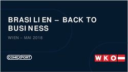 BRASILIEN - BACK TO BUSINESS - WIEN - MAI 2018 - WKO