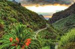 Vulkane - Tapas- und grandiose Naturlandschaften - 8-tägige Erlebnisreise auf der Kanareninsel Teneriffa inkl. La Gomera - Junggärtner