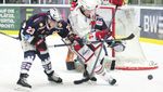 TOWERSTARS - KREFELD PINGUINE - Das Towerstars Spieltagsmagazin