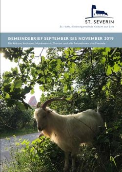 ST. SEVERIN GEMEINDEBRIEF SEPTEMBER BIS NOVEMBER 2019 - F&uuml;r Keitum, Archsum, Munkmarsch, Tinnum und alle Freundinnen und Freunde