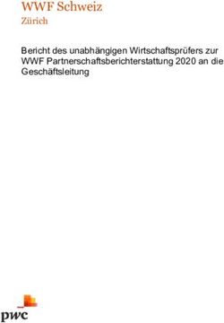 WWF Schweiz Z&uuml;rich Bericht des unabh&auml;ngigen Wirtschaftspr&uuml;fers zur WWF Partnerschaftsberichterstattung 2020 an die Gesch&auml;ftsleitung