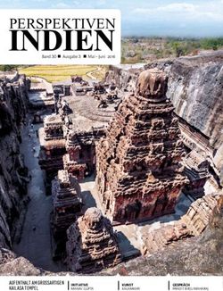 PERSPEKTIVEN - AUFENTHALT AM GROSSARTIGEN KAILASA TEMPEL - Band30n Ausgabe3 n Mai-Juni 2016 - India Perspectives