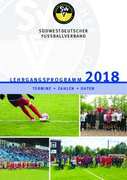 LEHRGANGSPROGRAMM 2018 - TERMINE ZAHLEN DATEN - SÜDWESTDEUTSCHER FUßBALLVERBAND