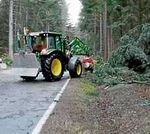 Sturmtief "Sabine" sorgte auch in der Gemeinde für entwurzelte Bäume und gesperrte Straßen