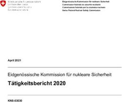 T&auml;tigkeitsbericht 2020 - Eidgen&ouml;ssische Kommission f&uuml;r nukleare Sicherheit
