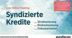 Kredite Strukturierung - Risikosteuerung Dokumentation - Seminarmarkt