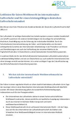 Leitlinien f&uuml;r fairen Wettbewerb im internationalen Luftverkehr und f&uuml;r einen leistungsf&auml;higen deutschen Luftverkehrsstandort