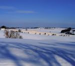 Echinger Bote Mitteilungen und Informationen aus der Gemeinde - Dezember 2021