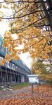 Studienangebot | BACHELOR Wintersemester 2015 / 2016 & Sommersemester 2016