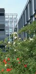 Studienangebot | BACHELOR Wintersemester 2015 / 2016 & Sommersemester 2016