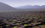 Die Vulkaninseln der Kanaren - Von Lanzarote nach Teneriffa - Eye of the Wind