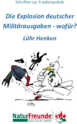 Die Explosion deutscher Milit&auml;rausgaben - wof&uuml;r? L&uuml;hr Henken - Schriften zur Friedenspolitik - NaturFreunde Deutschlands