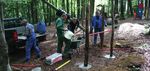FALLSTUDIE WILDPARK FELDKIRCH - Governance ...