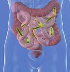 Diabetische Neuropathie als Ursache für Magen-Darm-Beschwerden