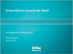 Grüne Wärme braucht die Stadt! - XV. Städtepartner-Konferenz Düren Thomas Pietsch 26. Juni 2019 - Dena
