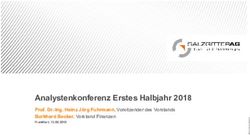 Analystenkonferenz Erstes Halbjahr 2018 - Salzgitter AG